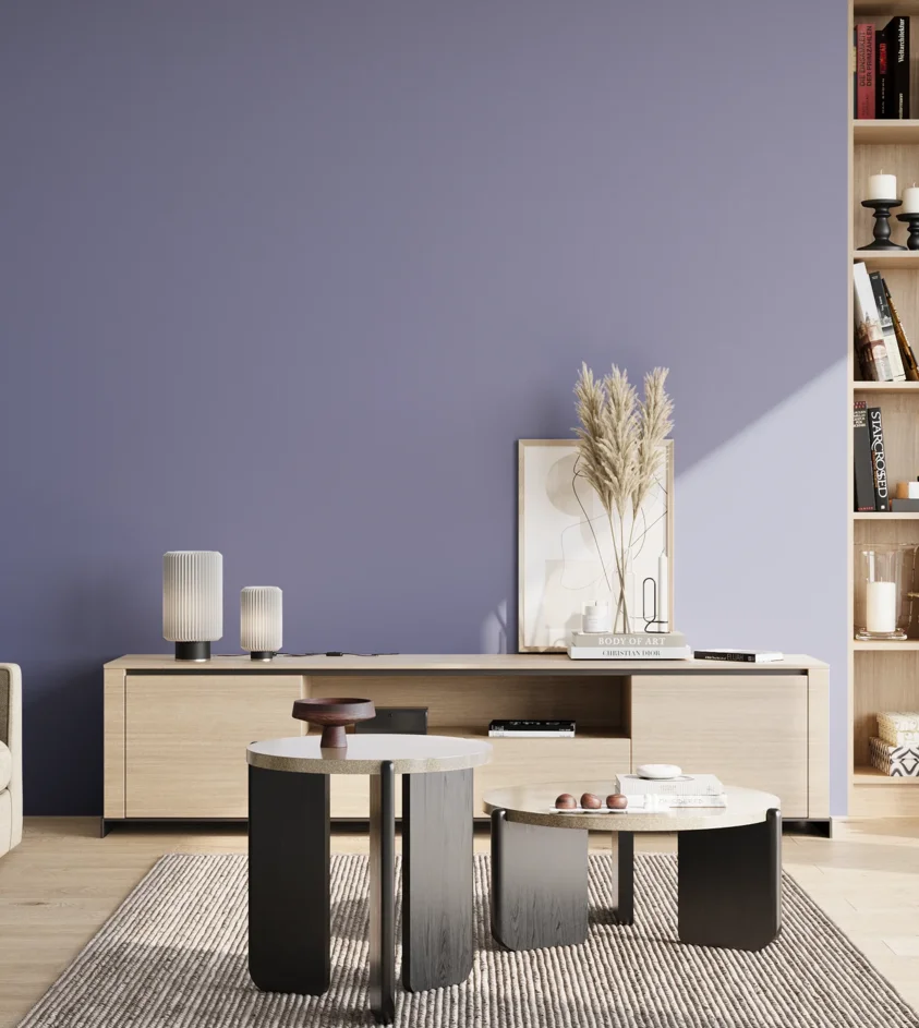 P10_SNIEZKA_salon_02_poludnie_GREY_S3030-R70B