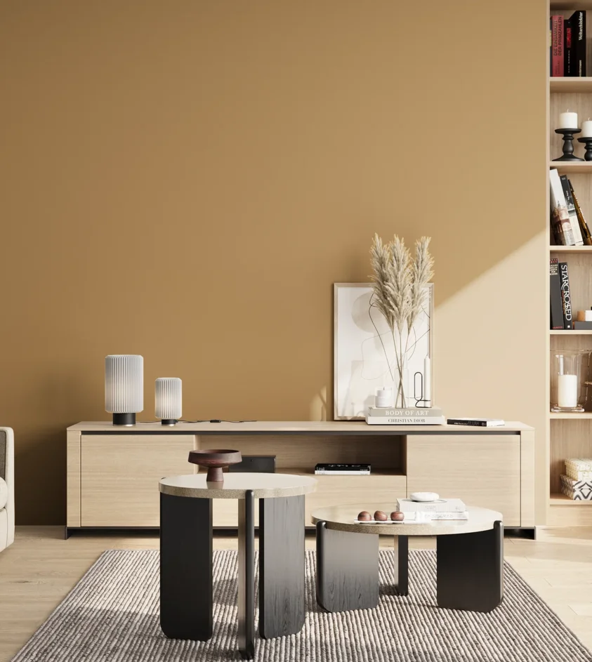 P10_SNIEZKA_salon_02_poludnie_GREY_S3030-Y20R