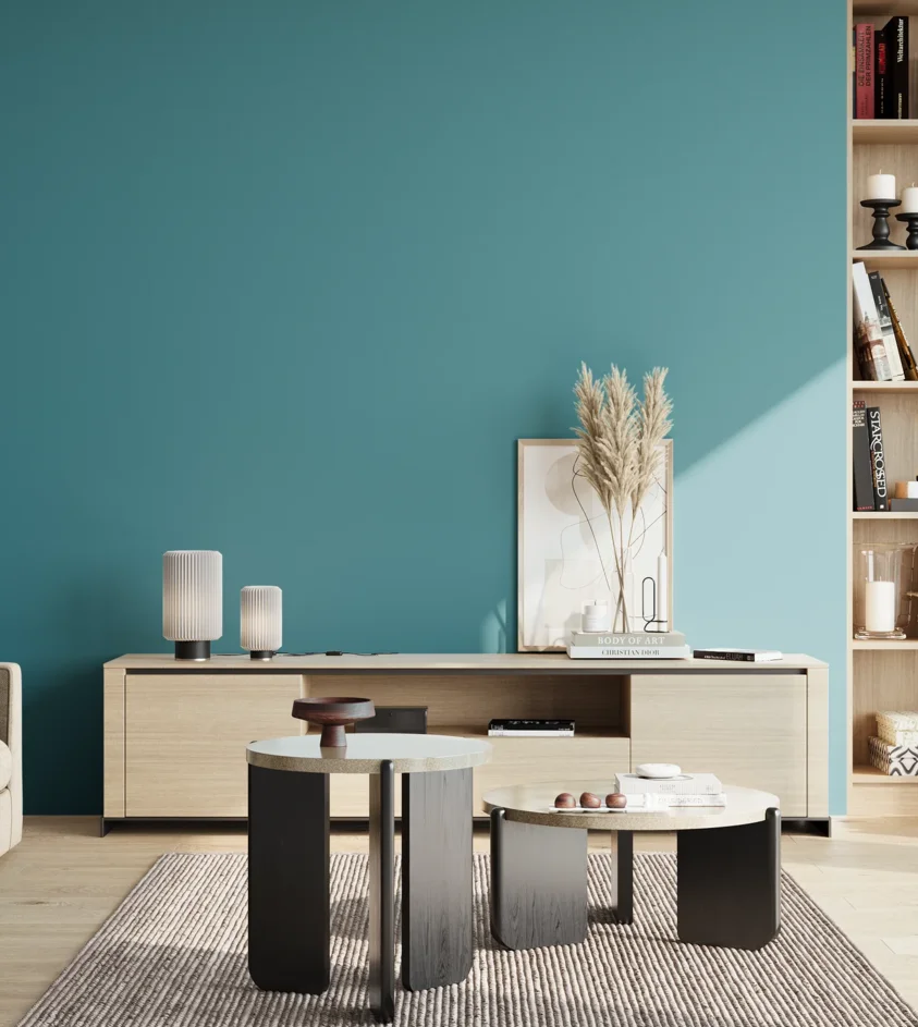 P10_SNIEZKA_salon_02_poludnie_GREY_S3040-B20G
