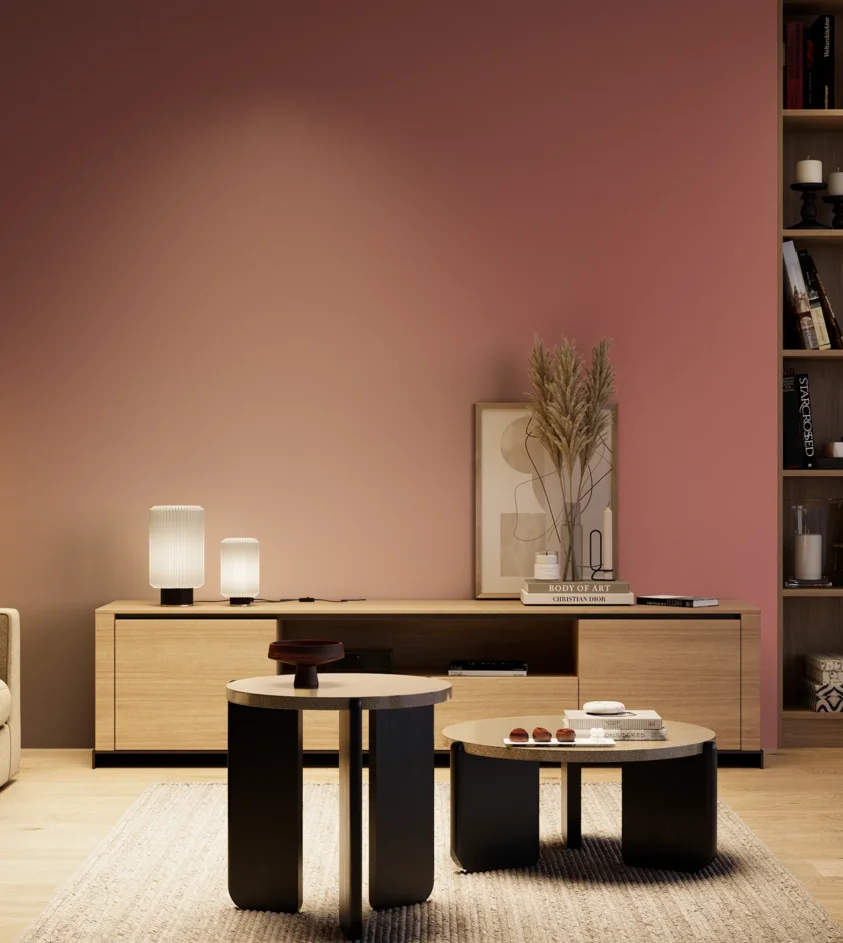 P10_SNIEZKA_salon_04_cieple_GREY_S3040-R