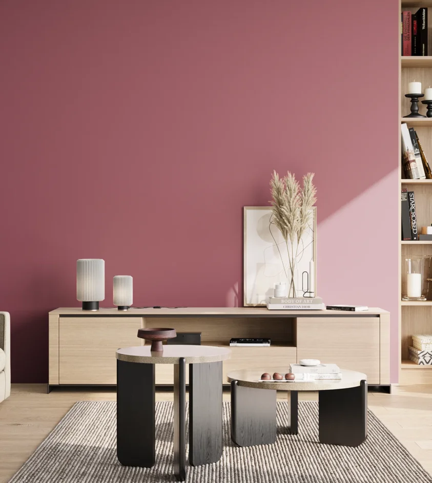P10_SNIEZKA_salon_02_poludnie_GREY_S3040-R20B