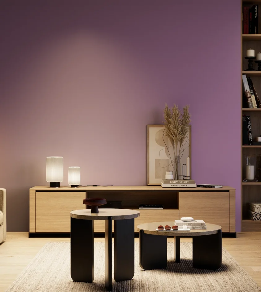 P10_SNIEZKA_salon_04_cieple_GREY_S3040-R50B