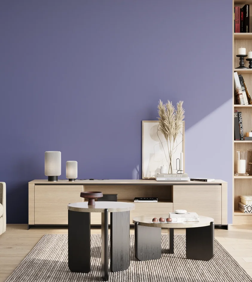 P10_SNIEZKA_salon_02_poludnie_GREY_S3040-R70B