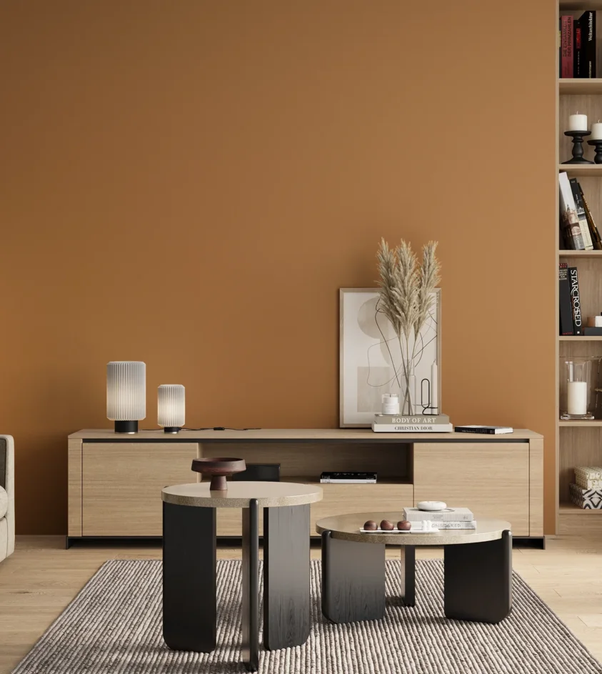 P10_SNIEZKA_salon_00_neutral_GREY_S3040-Y30R