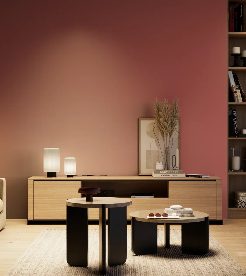 P10_SNIEZKA_salon_04_cieple_GREY_S3050-R