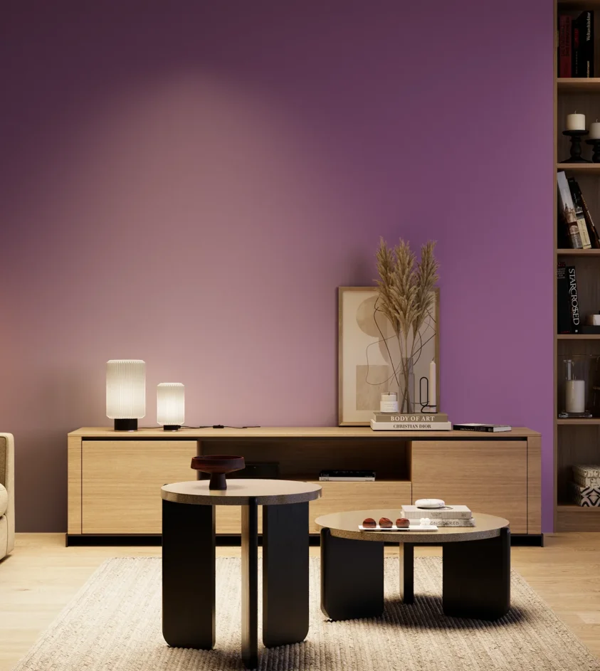 P10_SNIEZKA_salon_04_cieple_GREY_S3050-R50B