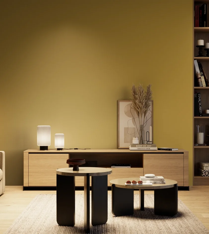 P10_SNIEZKA_salon_04_cieple_GREY_S3050-Y