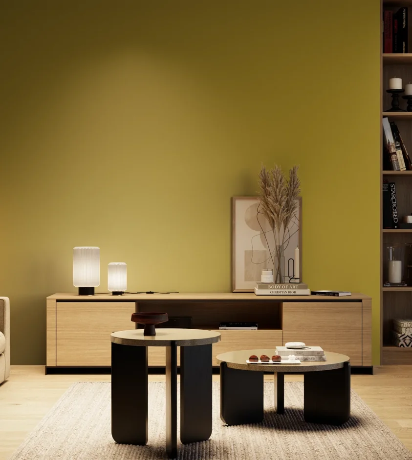 P10_SNIEZKA_salon_04_cieple_GREY_S3060-G90Y