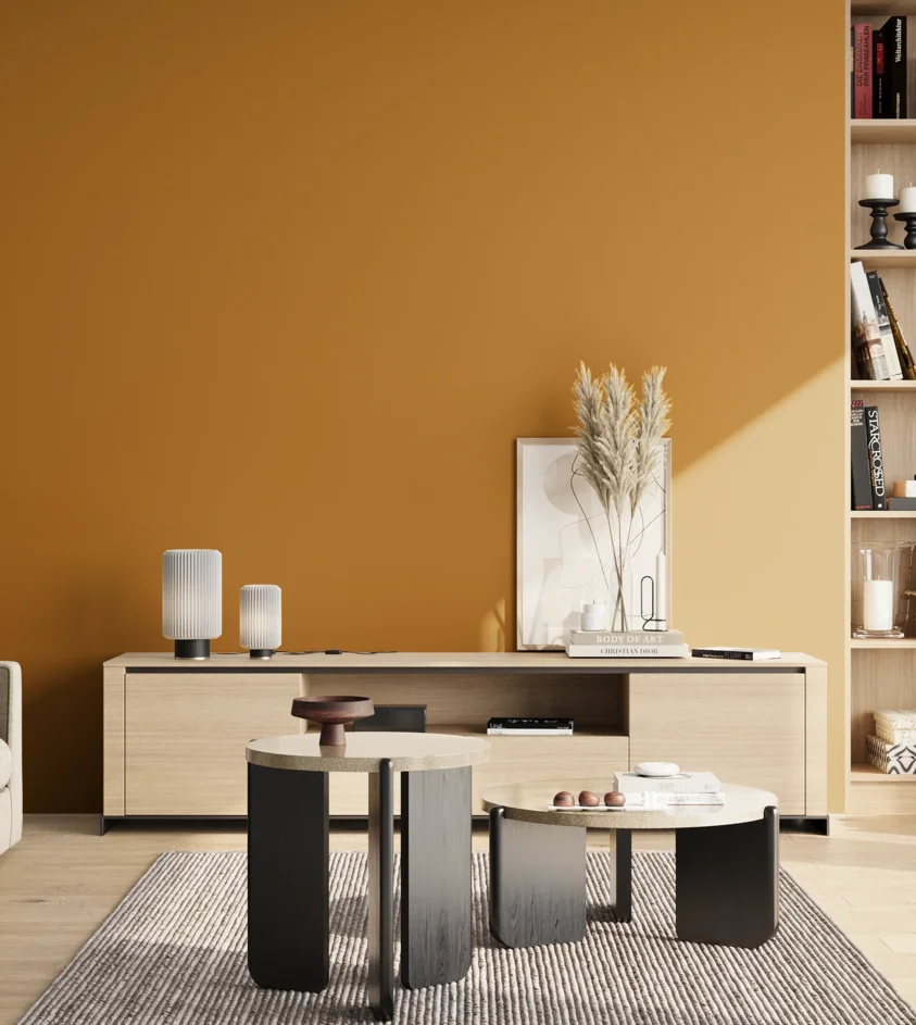 P10_SNIEZKA_salon_02_poludnie_GREY_S3065-Y20R