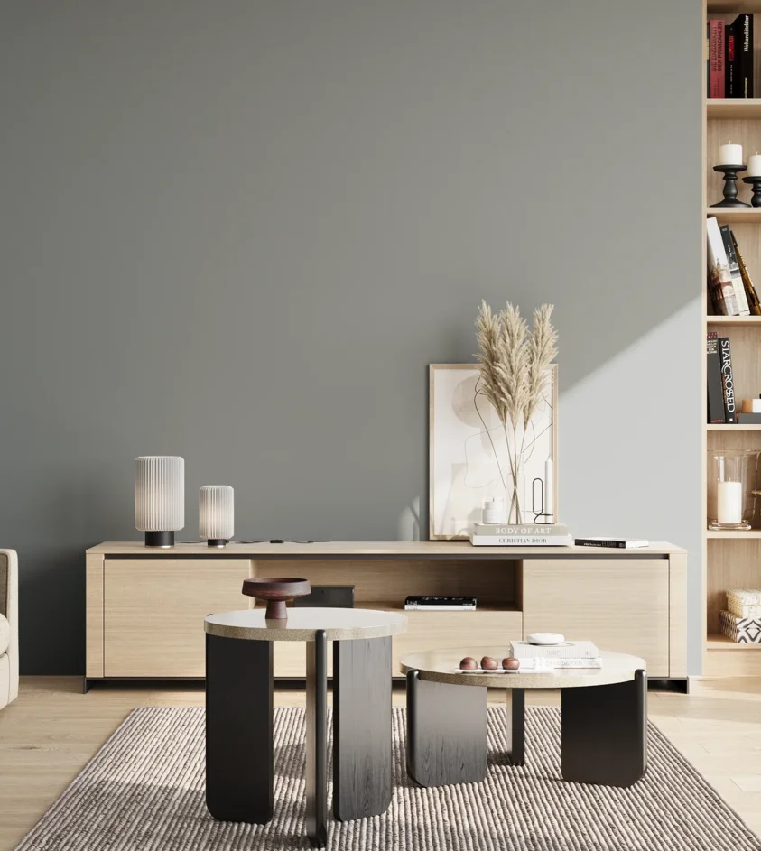 P10_SNIEZKA_salon_02_poludnie_GREY_S4005-B20G