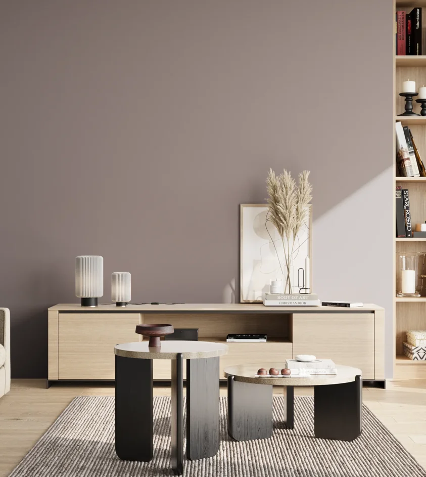 P10_SNIEZKA_salon_02_poludnie_GREY_S4005-R20B