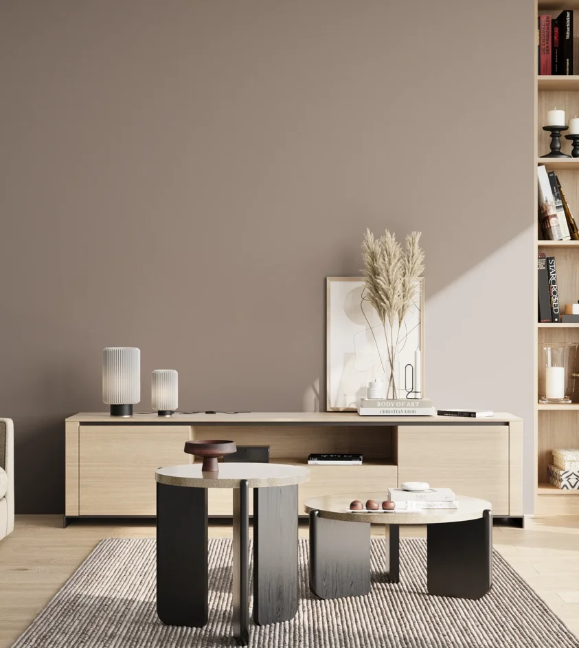 P10_SNIEZKA_salon_02_poludnie_GREY_S4005-Y80R