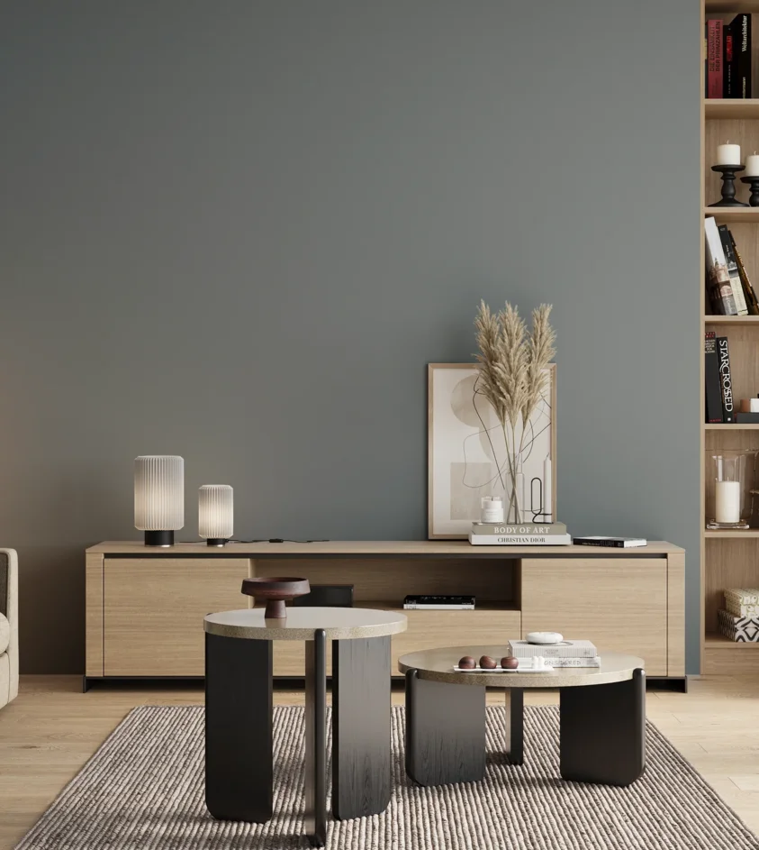 P10_SNIEZKA_salon_00_neutral_GREY_S4010-B10G