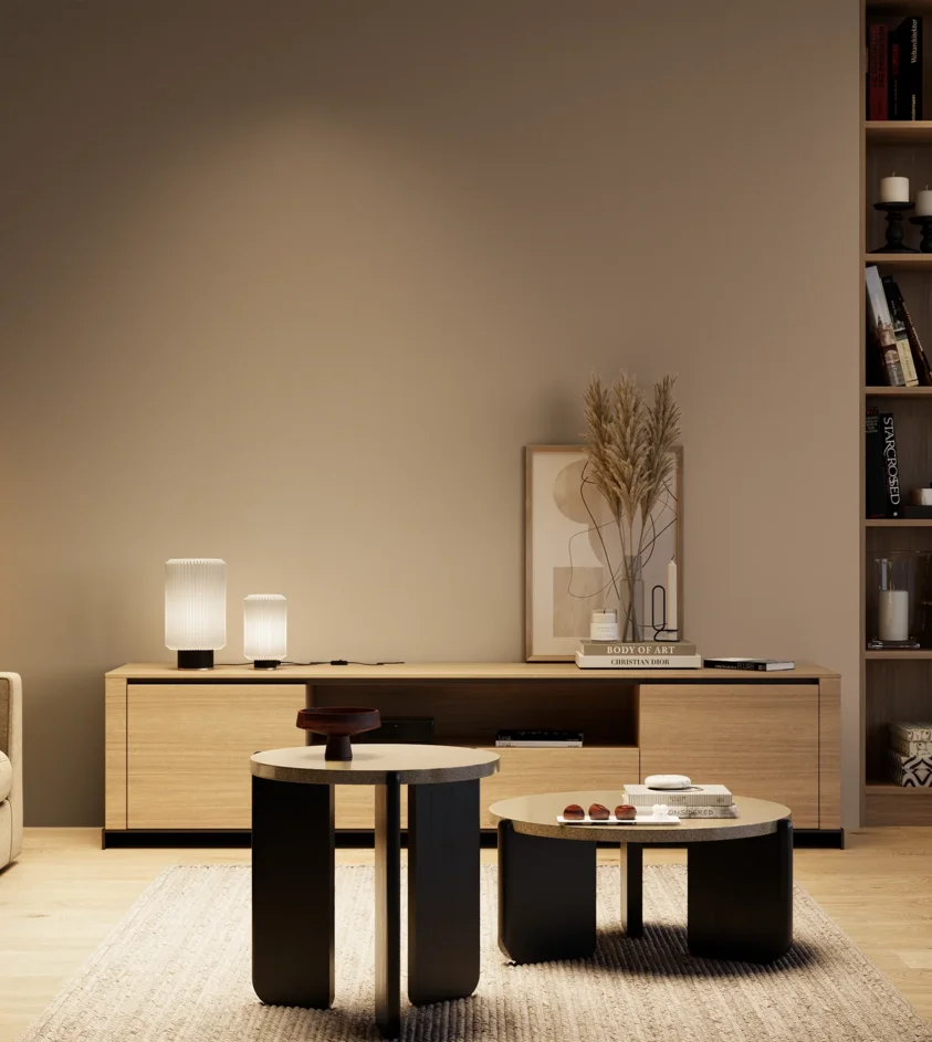P10_SNIEZKA_salon_04_cieple_GREY_S4010-Y50R
