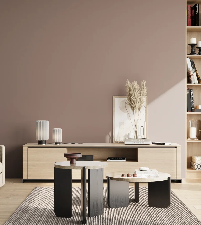 P10_SNIEZKA_salon_02_poludnie_GREY_S4010-Y90R