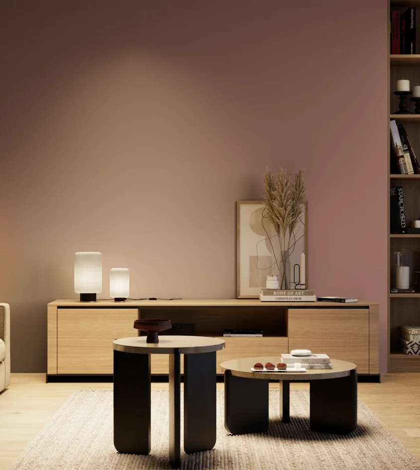 P10_SNIEZKA_salon_04_cieple_GREY_S4020-R