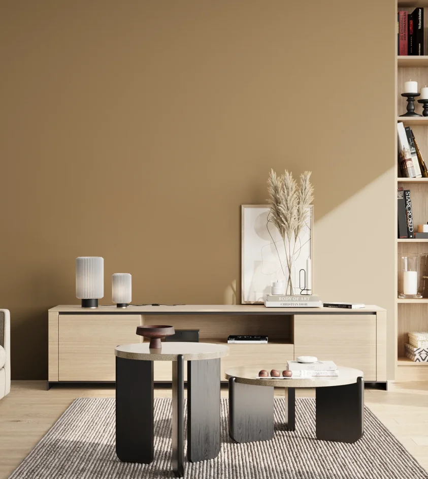 P10_SNIEZKA_salon_02_poludnie_GREY_S4020-Y20R