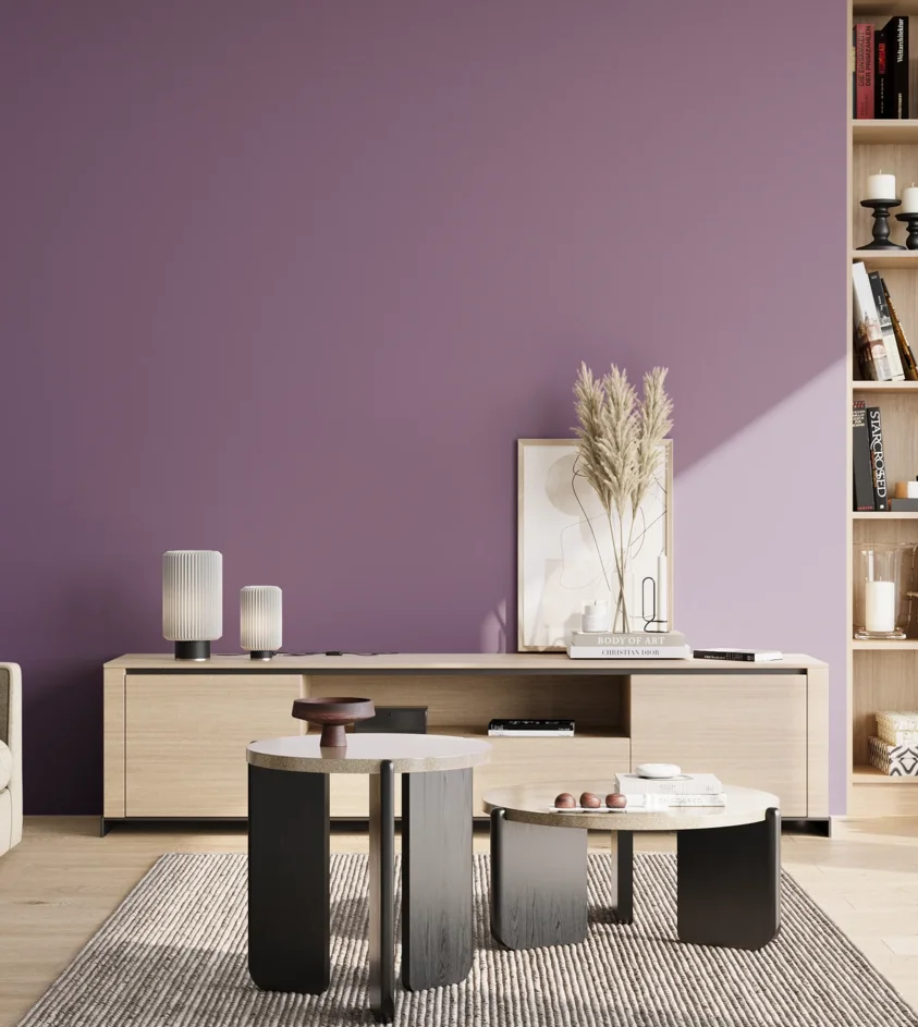 P10_SNIEZKA_salon_02_poludnie_GREY_S4030-R50B