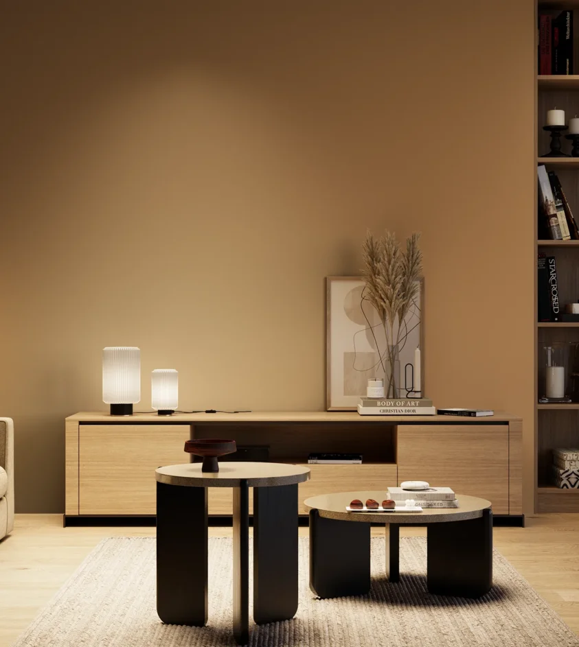 P10_SNIEZKA_salon_04_cieple_GREY_S4030-Y30R