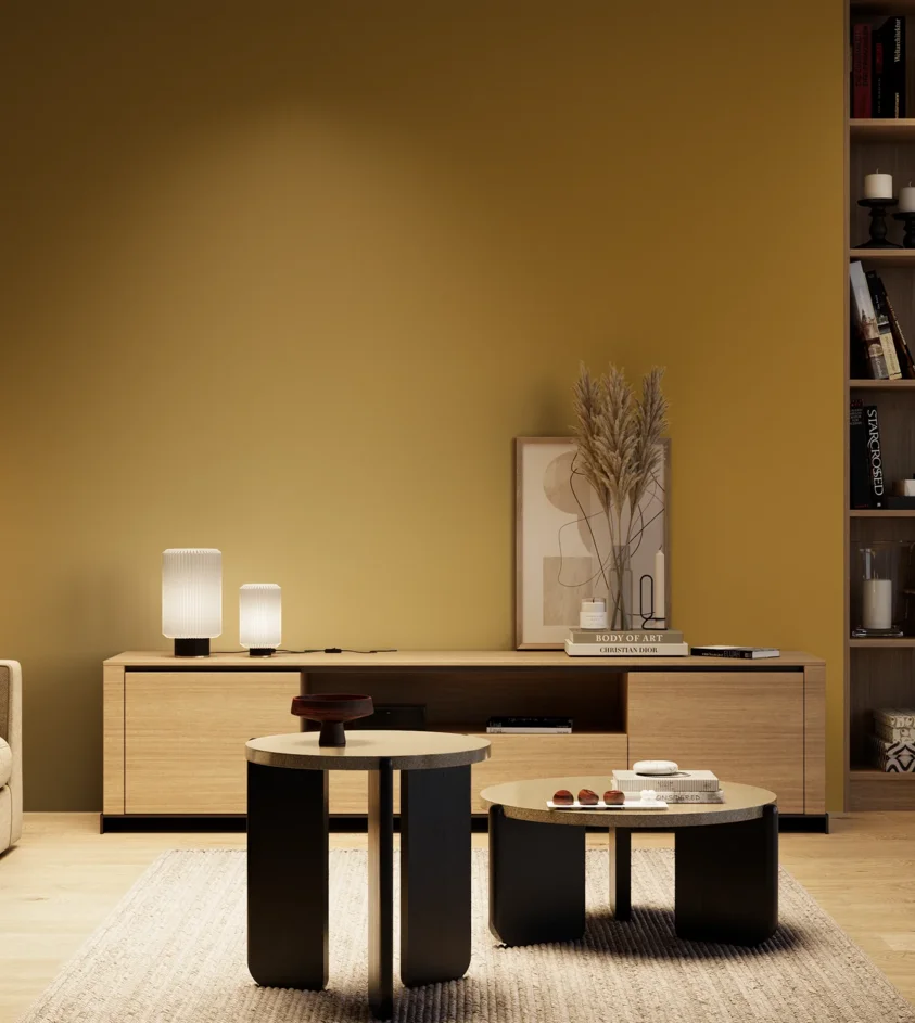 P10_SNIEZKA_salon_04_cieple_GREY_S4055-Y10R