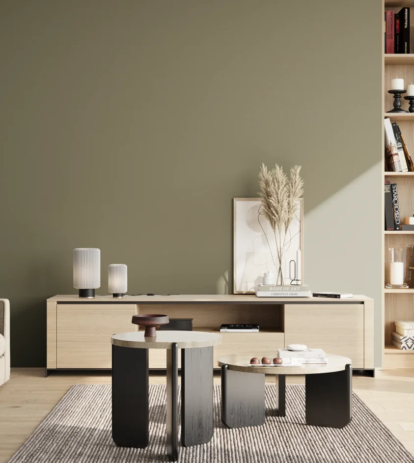 P10_SNIEZKA_salon_02_poludnie_GREY_S5010-G70Y