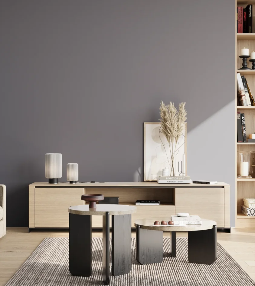 P10_SNIEZKA_salon_02_poludnie_GREY_S5010-R70B