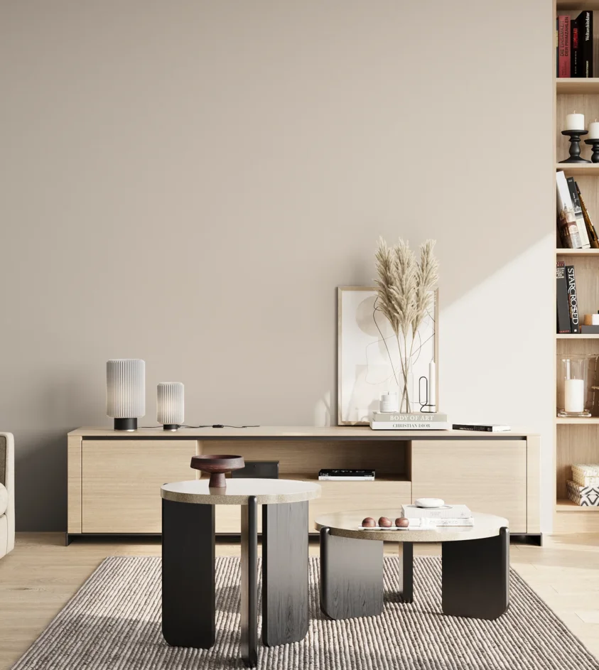P10_SNIEZKA_salon_02_poludnie_GREY_B27