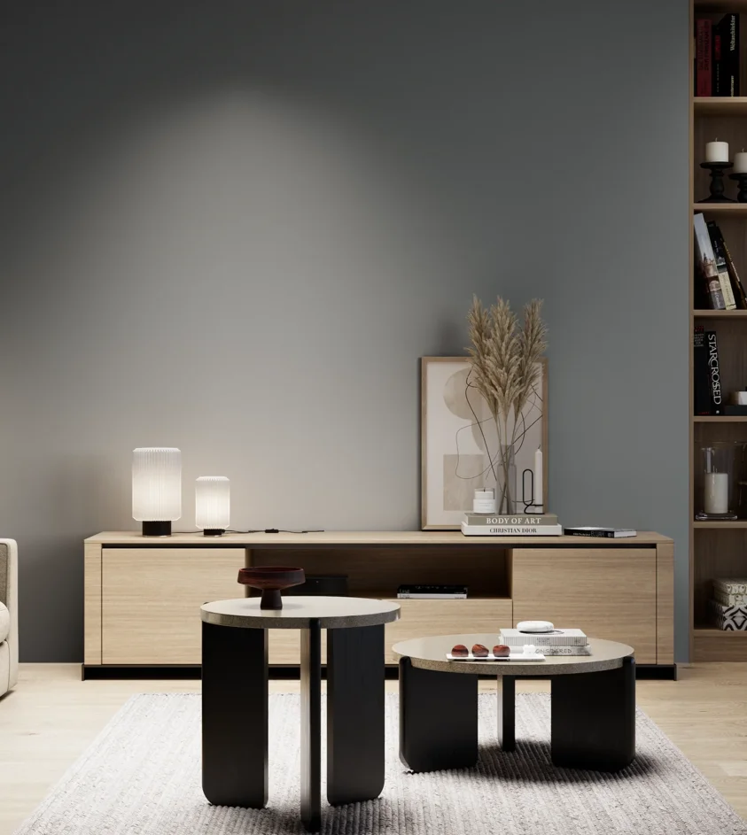 P10_SNIEZKA_salon_05_zimne_GREY_S6005-B20G