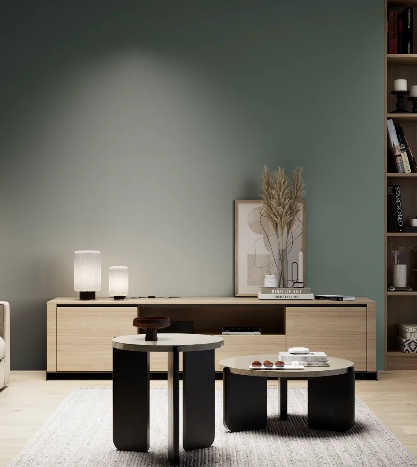 P10_SNIEZKA_salon_05_zimne_GREY_S6010-B90G