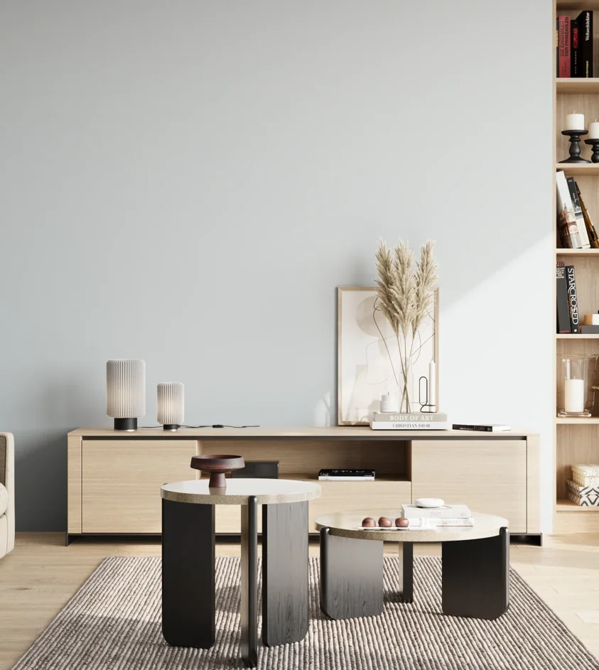 P10_SNIEZKA_salon_02_poludnie_GREY_S0505-R90B