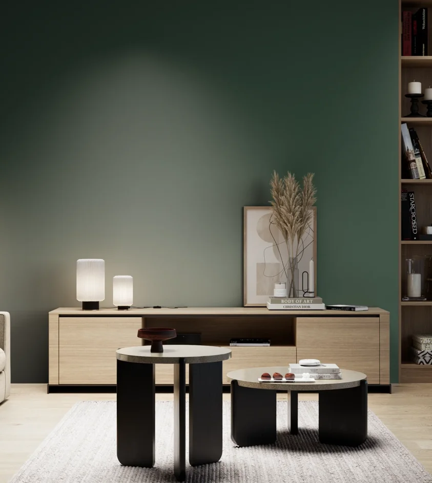 P10_SNIEZKA_salon_05_zimne_GREY_S7020-G