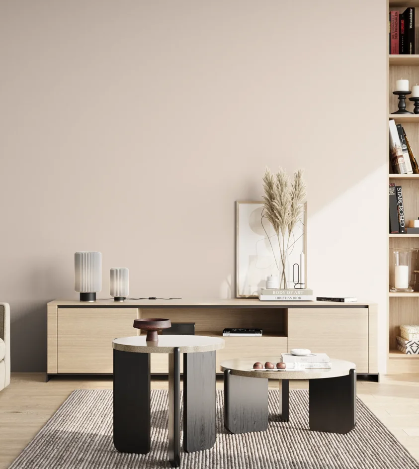 P10_SNIEZKA_salon_02_poludnie_GREY_S0505-Y90R