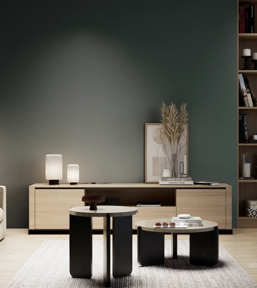 P10_SNIEZKA_salon_05_zimne_GREY_S8010-B70G