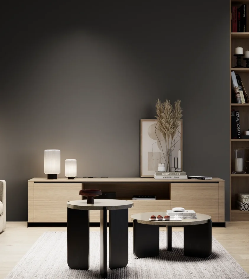 P10_SNIEZKA_salon_05_zimne_GREY_S9000-N