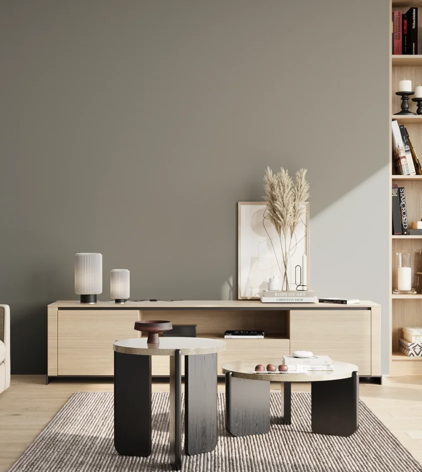 P10_SNIEZKA_salon_02_poludnie_GREY_S4502-G50Y