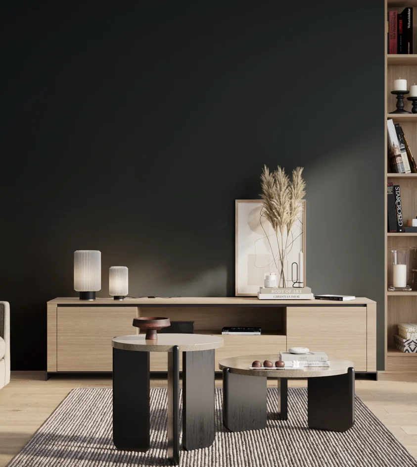 P10_SNIEZKA_salon_01_poranek_GREY_S8505-B