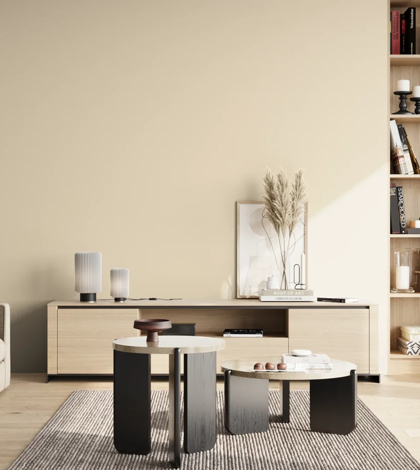 P10_SNIEZKA_salon_02_poludnie_GREY_C4