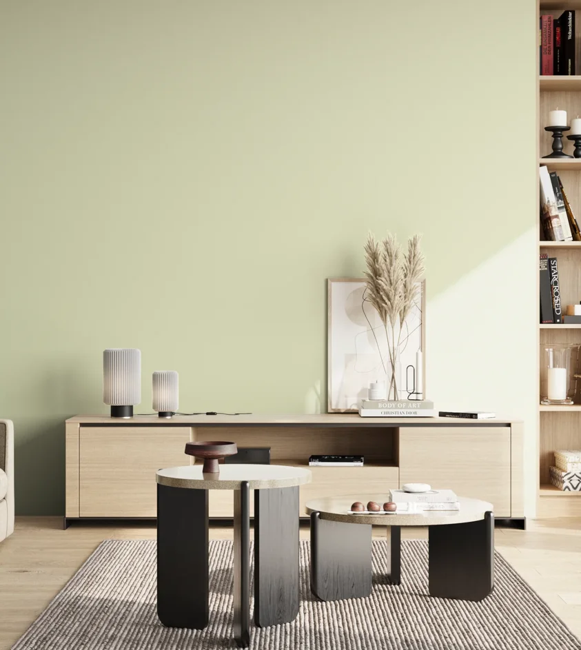 P10_SNIEZKA_salon_02_poludnie_GREY_S0510-G60Y