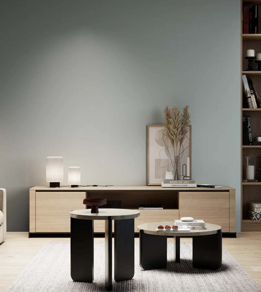 P10_SNIEZKA_salon_05_zimne_GREY_S3005-B50G