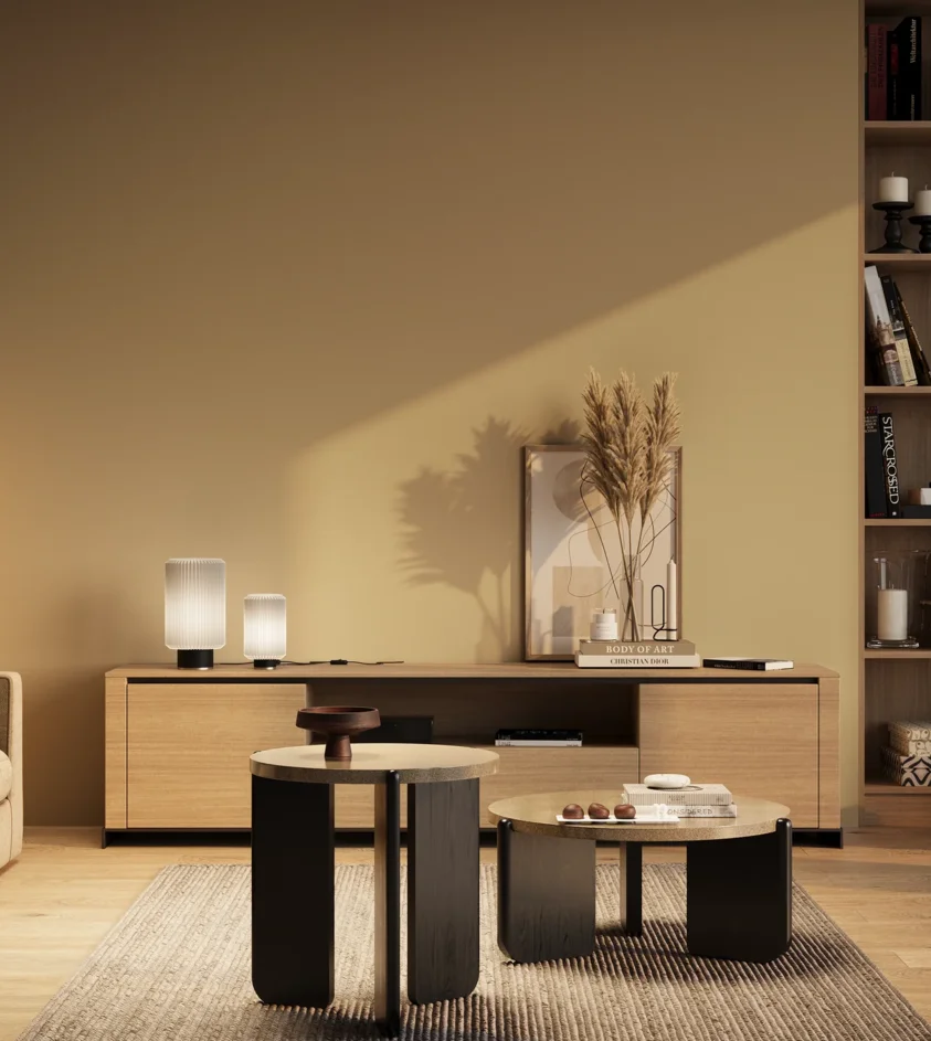 P10_SNIEZKA_salon_03_wieczor_GREY_RAL1014