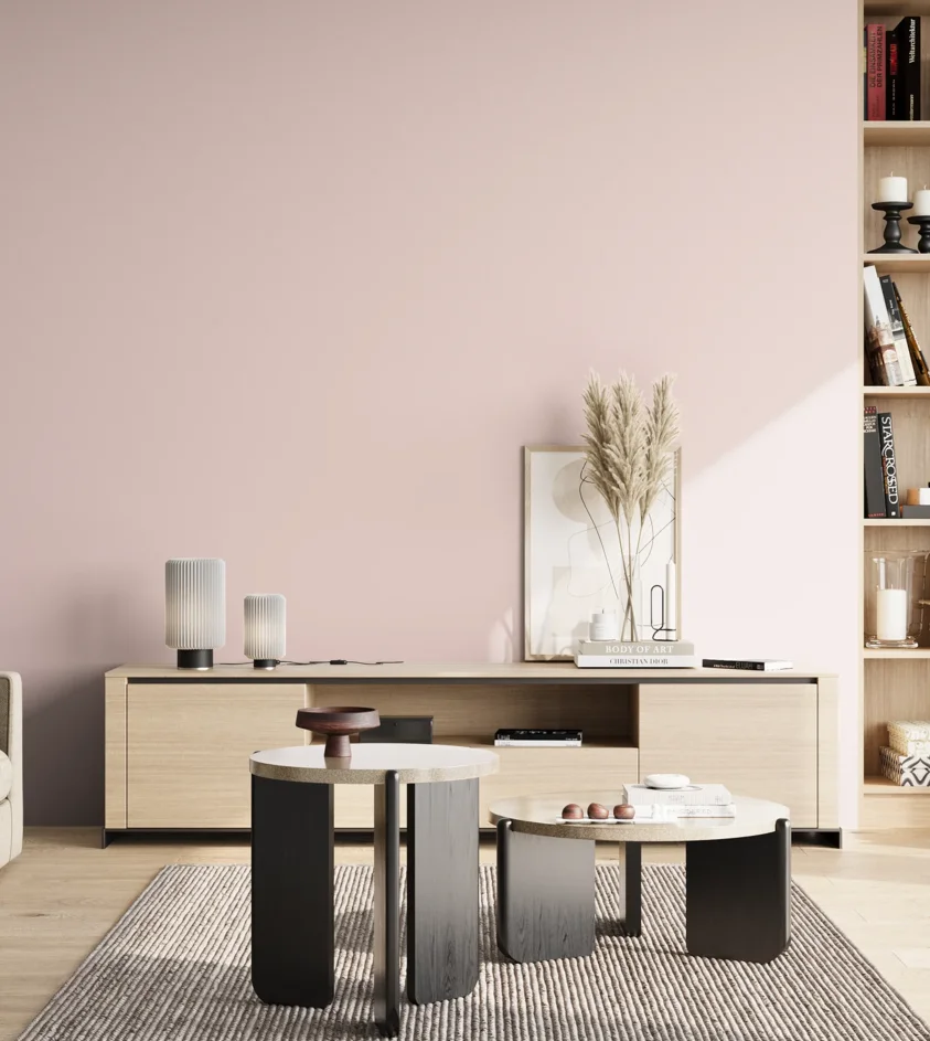 P10_SNIEZKA_salon_02_poludnie_GREY_S0510-R10B