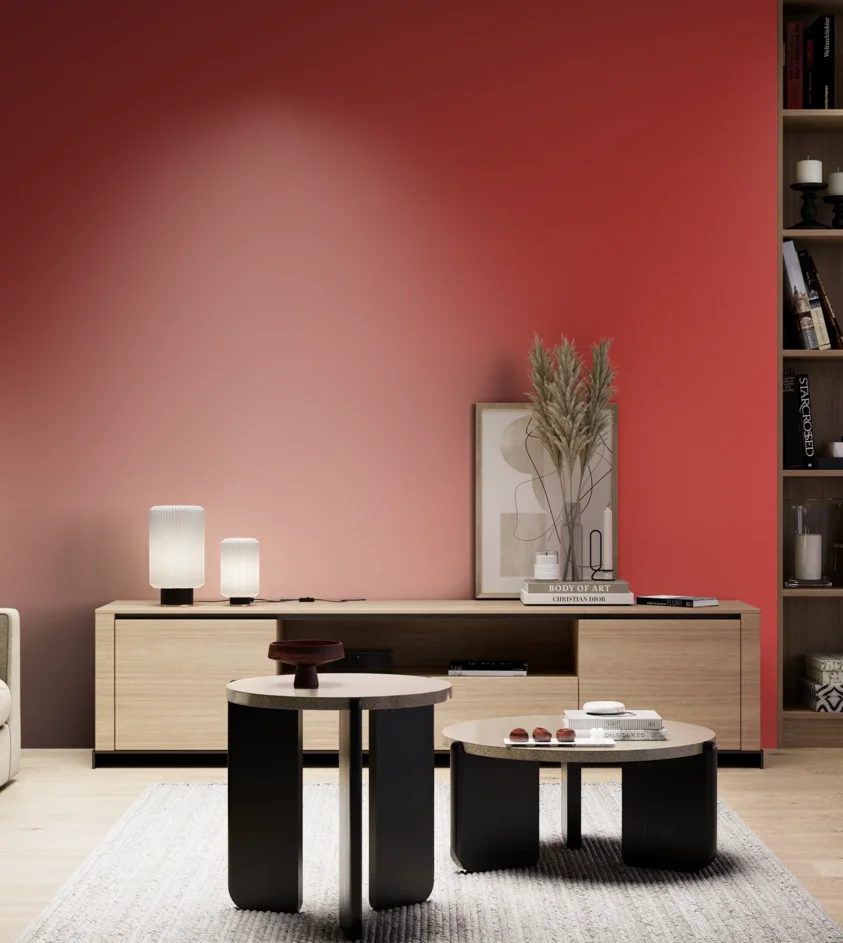 P10_SNIEZKA_salon_05_zimne_GREY_RAL3028