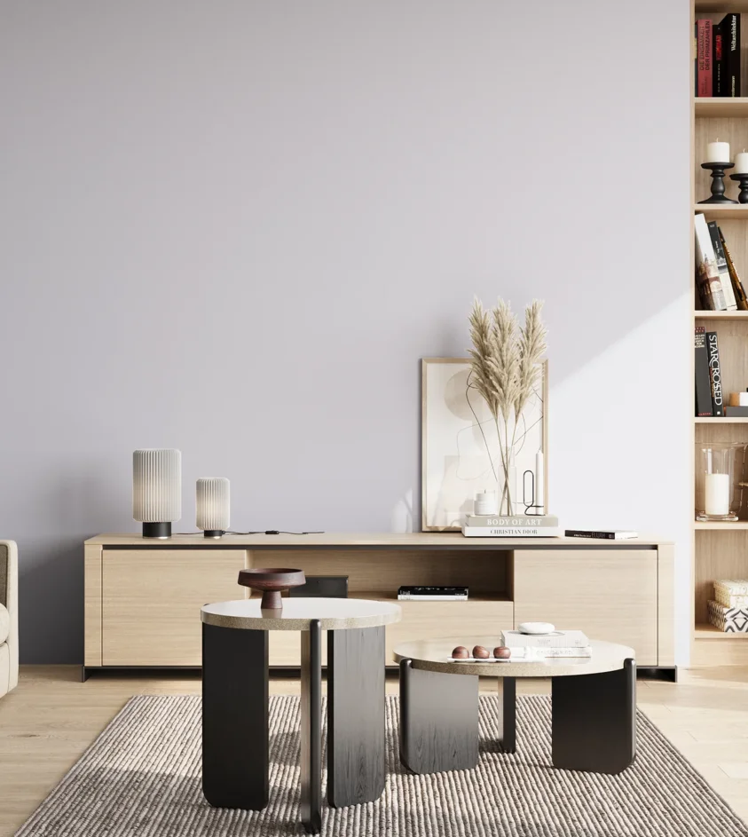 P10_SNIEZKA_salon_02_poludnie_GREY_S0510-R60B