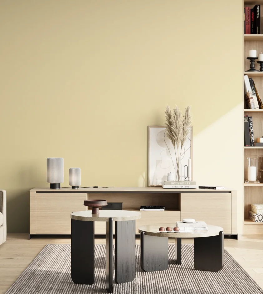 P10_SNIEZKA_salon_02_poludnie_GREY_S0510-Y10R