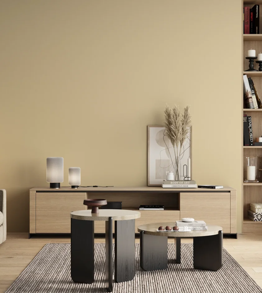 P10_SNIEZKA_salon_00_neutral_GREY_S0510-Y20R