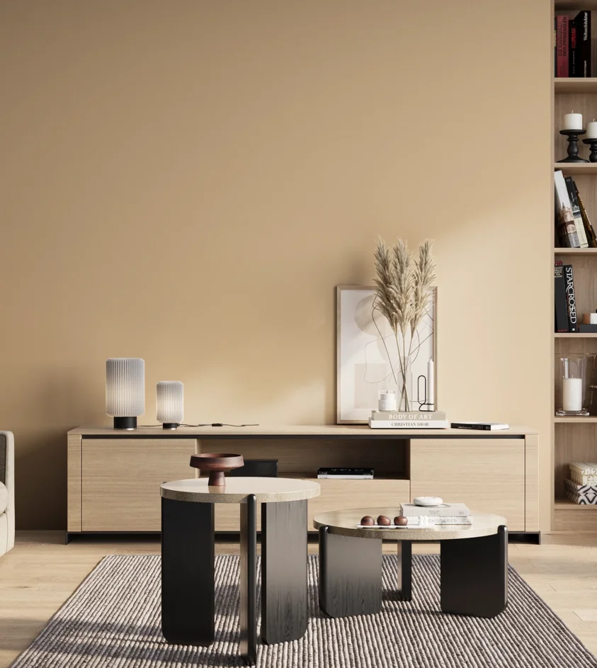 P10_SNIEZKA_salon_01_poranek_GREY_C6