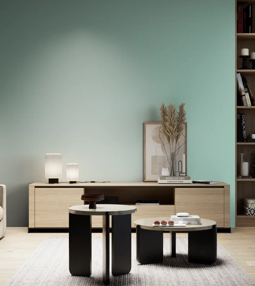 P10_SNIEZKA_salon_05_zimne_GREY_C38
