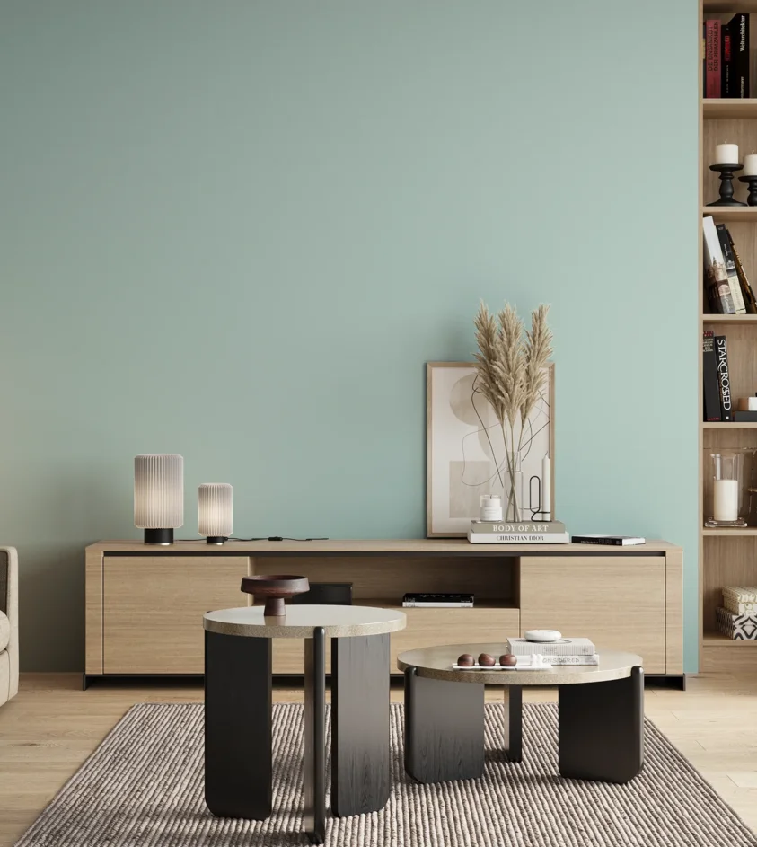 P10_SNIEZKA_salon_00_neutral_GREY_S0515-B50G
