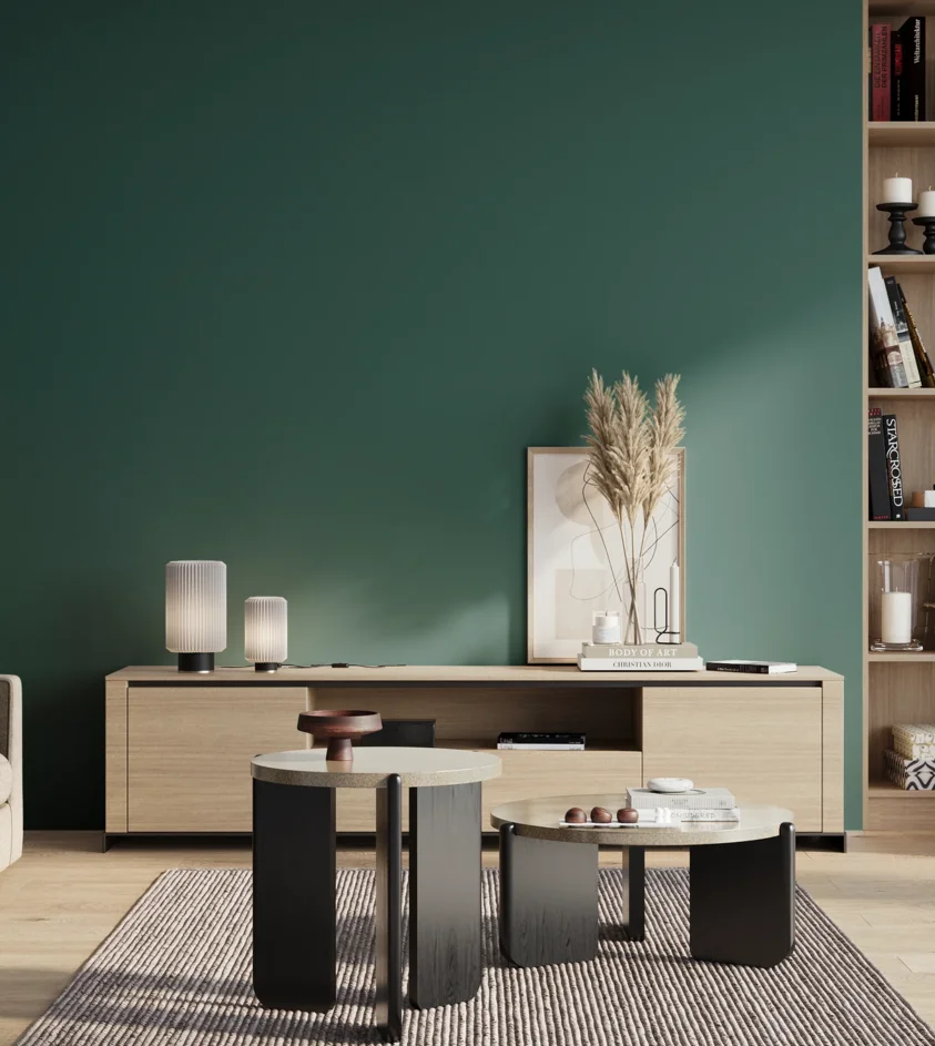 P10_SNIEZKA_salon_01_poranek_GREY_C73