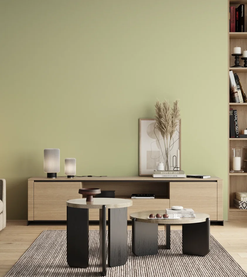 P10_SNIEZKA_salon_00_neutral_GREY_S0515-G60Y